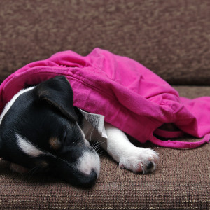 jrt_035