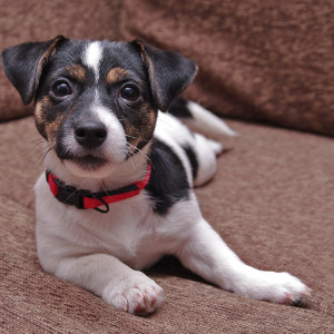 jrt_039