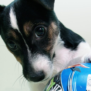 jrt_058