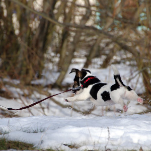 jrt_072