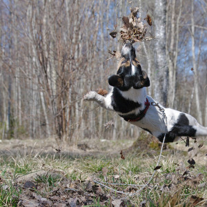 jrt_122