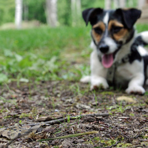 jrt_143