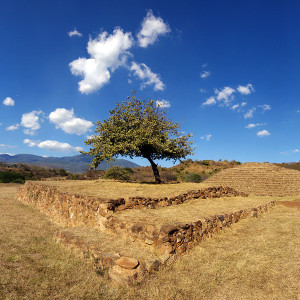 mex_199