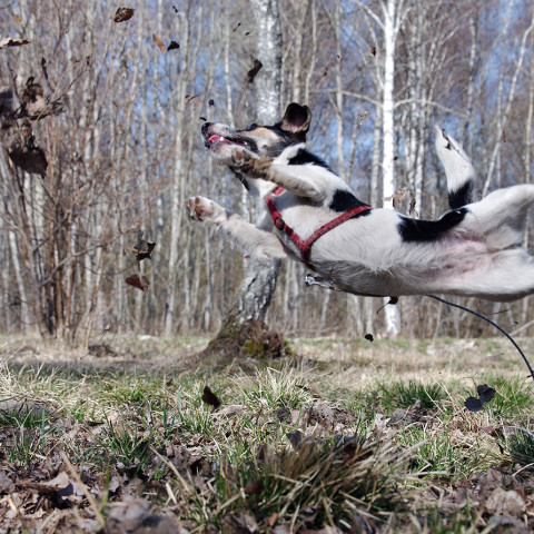 jrt_105